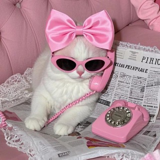 Telegram profile photo for πππππ πβπ π΅π’πππ