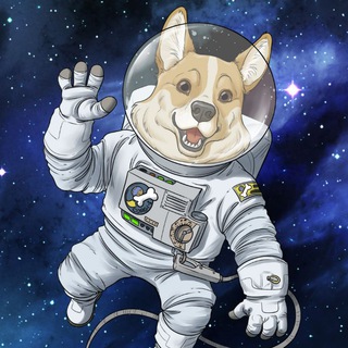 Telegram group profile photo for SpaceCorgi Official Discussion