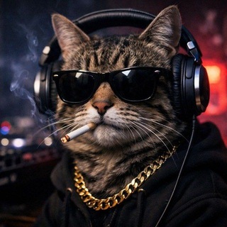 Telegram profile photo for میوزیک 🐈🎵