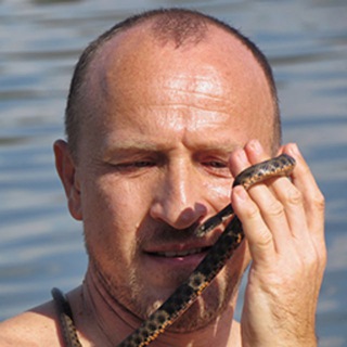 Telegram profile photo for Александр Шрайфель