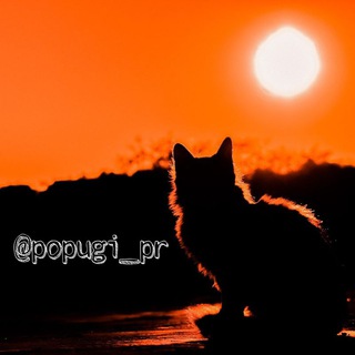 Telegram profile photo for Животные | Коты | Собаки | Красивые | Смешные