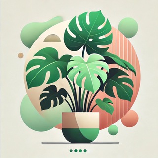 Telegram profile photo for Цветы Тбилиси 🌵