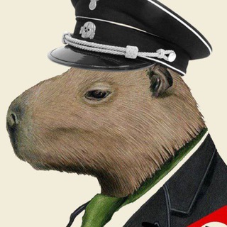 Telegram profile photo for CapyChat