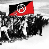 Telegram profile photo for آنارشیستهای شیراز