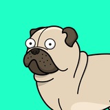 Telegram profile photo for Шрифты с кириллицей