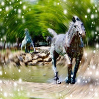 Telegram profile photo for АКСАЙ В ДЕТАЛЯХ ⚡