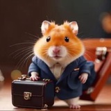 Telegram profile photo for Hamster Kombat Хамстер🚀