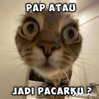 Telegram profile photo for JUAL BELI FOLLOWERS TIKTOK , IG 2024