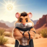 Telegram profile photo for اخبار ایردارپ همستر و نات کوین