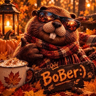 Telegram profile photo for BoBer :)