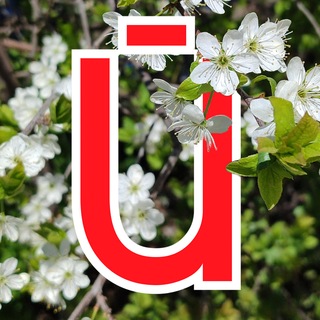 Telegram profile photo for Йошкар-Ола | городская газета
