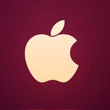 Telegram profile photo for Canal iPhoneros 100%