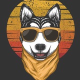Telegram profile photo for BinanceRocket HUSKYMUSKY