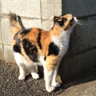 Telegram profile photo for люблю | оценки