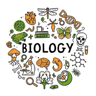 Telegram profile photo for 12th Biology Notes in hindi