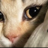 Telegram profile photo for (не) твои записки