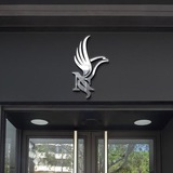 Telegram profile photo for NS
