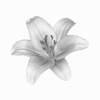 Telegram profile photo for ๐ ๐ก๐๐ข๐๐๐๐'๐๐