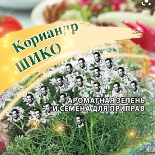 Telegram profile photo for Гимн шутов