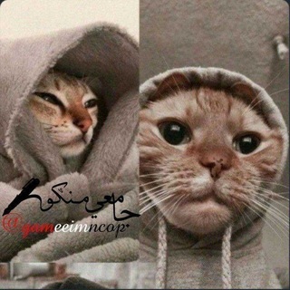Telegram profile photo for جامعي منكوب 📿