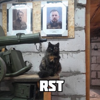 Telegram profile photo for RST