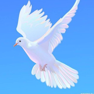 Telegram profile photo for Мордовия родителям