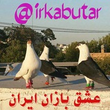 Telegram profile photo for 🕊 ایران کبوتر 🕊