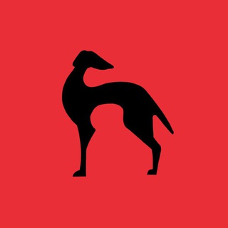 Telegram profile photo for Подвал Бродячей Собаки