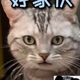 Telegram profile photo for 安生收号&诚信帖