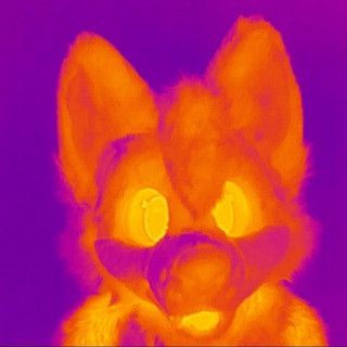 Telegram profile photo for @awoo_thermal