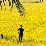 Telegram profile photo for Ну как так-то