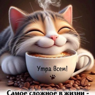 Telegram profile photo for Юмор из жизни