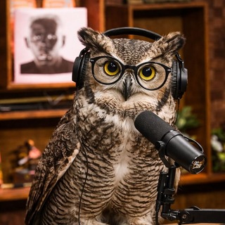 Telegram profile photo for CORUJA TÓXICA
