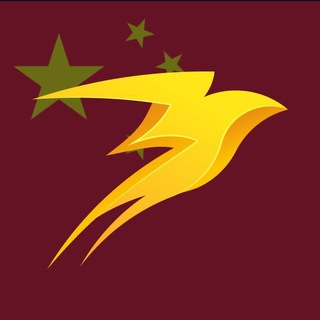 Telegram group profile photo for Storm Trade | 中文群
