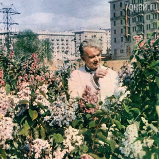 Telegram group profile photo for Airport/Sokol Da Neighborhood