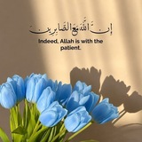 Telegram profile photo for ꧁ طَرِيقُ النَّجَاة • صَدَقَةٌ جَارِيَة ꧂