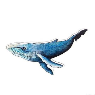 Telegram profile photo for Trader Group