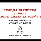 Telegram profile photo for Упячиваемся по КПИ