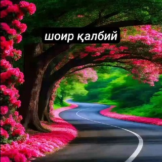 Telegram profile photo for ✍ШОИР ҚАЛБИЙ✍