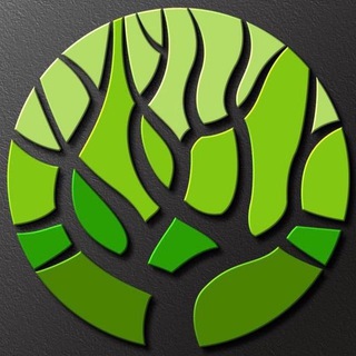 Telegram group profile photo for 🌏Metaverse Forest Token Official