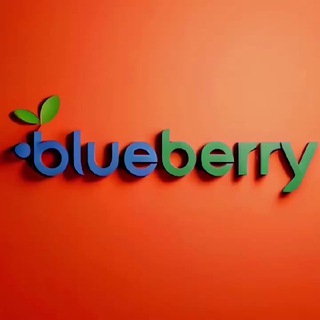 Telegram profile photo for BlueBerry Обмен валюты Аргентина Буэнос-Айрес доставка