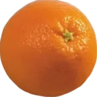 Telegram profile photo for Challenge thomson