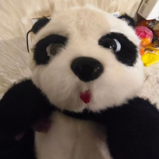 Telegram profile photo for Fourt1es