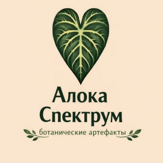 Telegram profile photo for Алока Спектрум - кожаные листочки