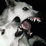 Telegram profile photo for DA HOOD PLAY3R