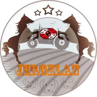 Telegram profile photo for جرگلان
