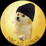 Telegram profile photo for DoomerDogeCoinOfficialChannel