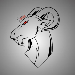 Telegram profile photo for TR YOUSSEF