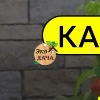 Telegram profile photo for Эко дача
