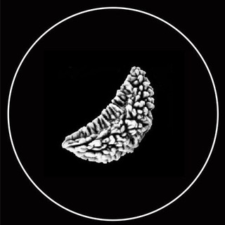 Telegram profile photo for ShivX Privacy announcements